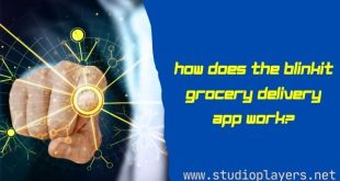 How Does the Blinkit Grocery Delivery App Work