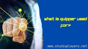 What is Quipper Used For
