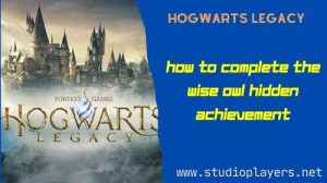 Hogwarts Legacy How To Complete The Wise Owl Hidden Achievement