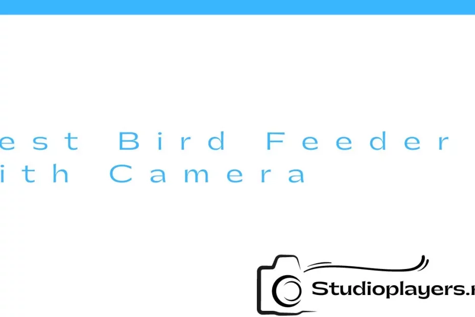 Best Bird Feeder with Camera