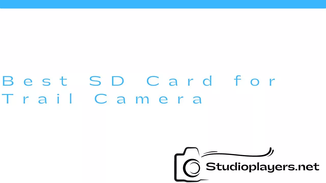 Best SD Card for Trail Camera