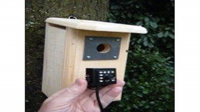 Birdhouse Spy Cam BCAMHEW Hawk Eye HD Camera