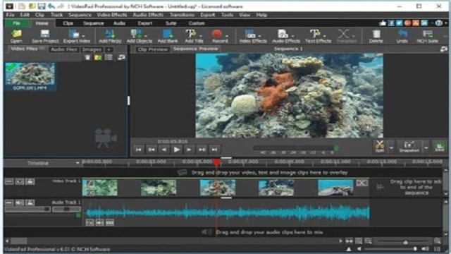 Choose a Video Editing Software