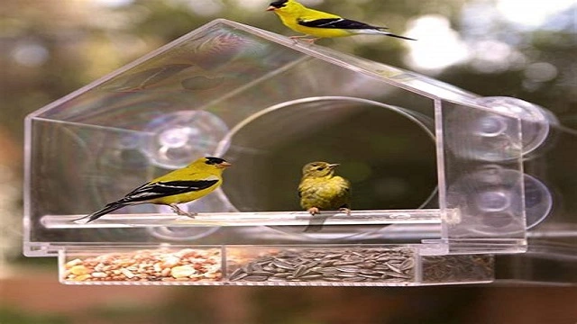 Nature Anywhere Window Bird Feeder with Camera