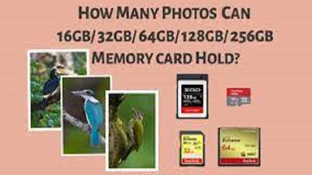 Photos on a 64GB SD Card