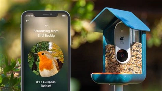 Types of Bird Feeders with Camera